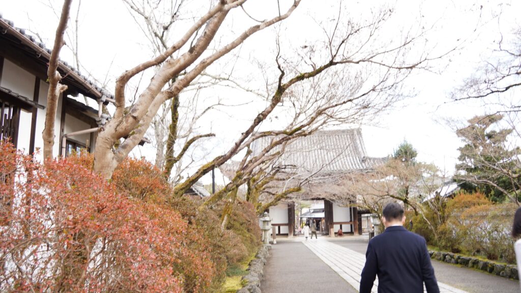 斎藤アレックス　石山　石山寺　東大門　桜　